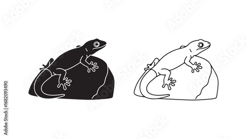 Lizard outline on stone with transparent background
