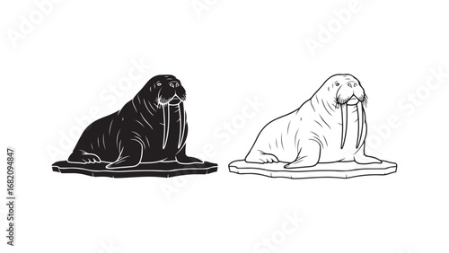 Walrus on ice floe outline art