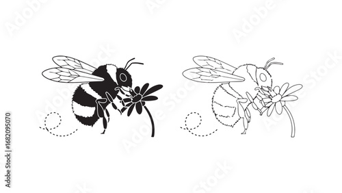 Bee collecting nectar from flower with transparent background