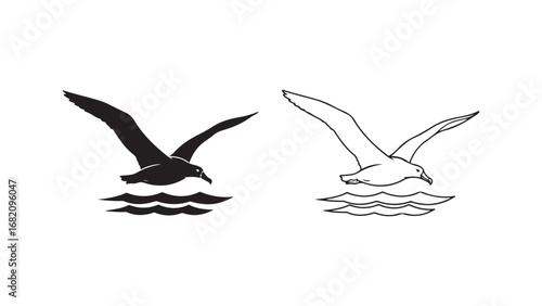 Seagull flying over water with transparent background