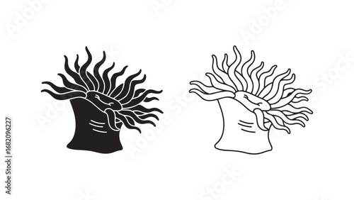 Sea anemone outline and silhouette with transparent background