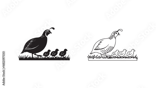 Quail with chicks in grass