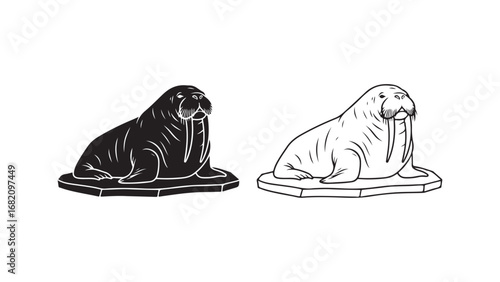 Walrus on ice floe outline style