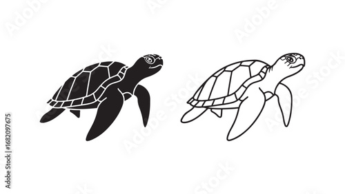 Sea turtle outline and solid color with transparent background