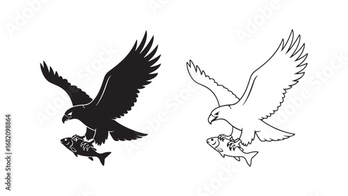 Eagle catching fish, black and white outline