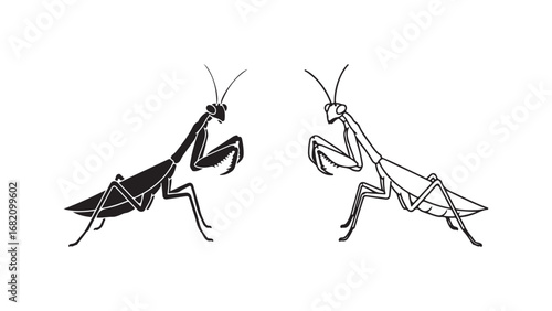Praying mantis silhouette pair with transparent background