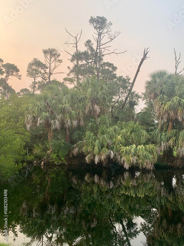 morning in the marsh