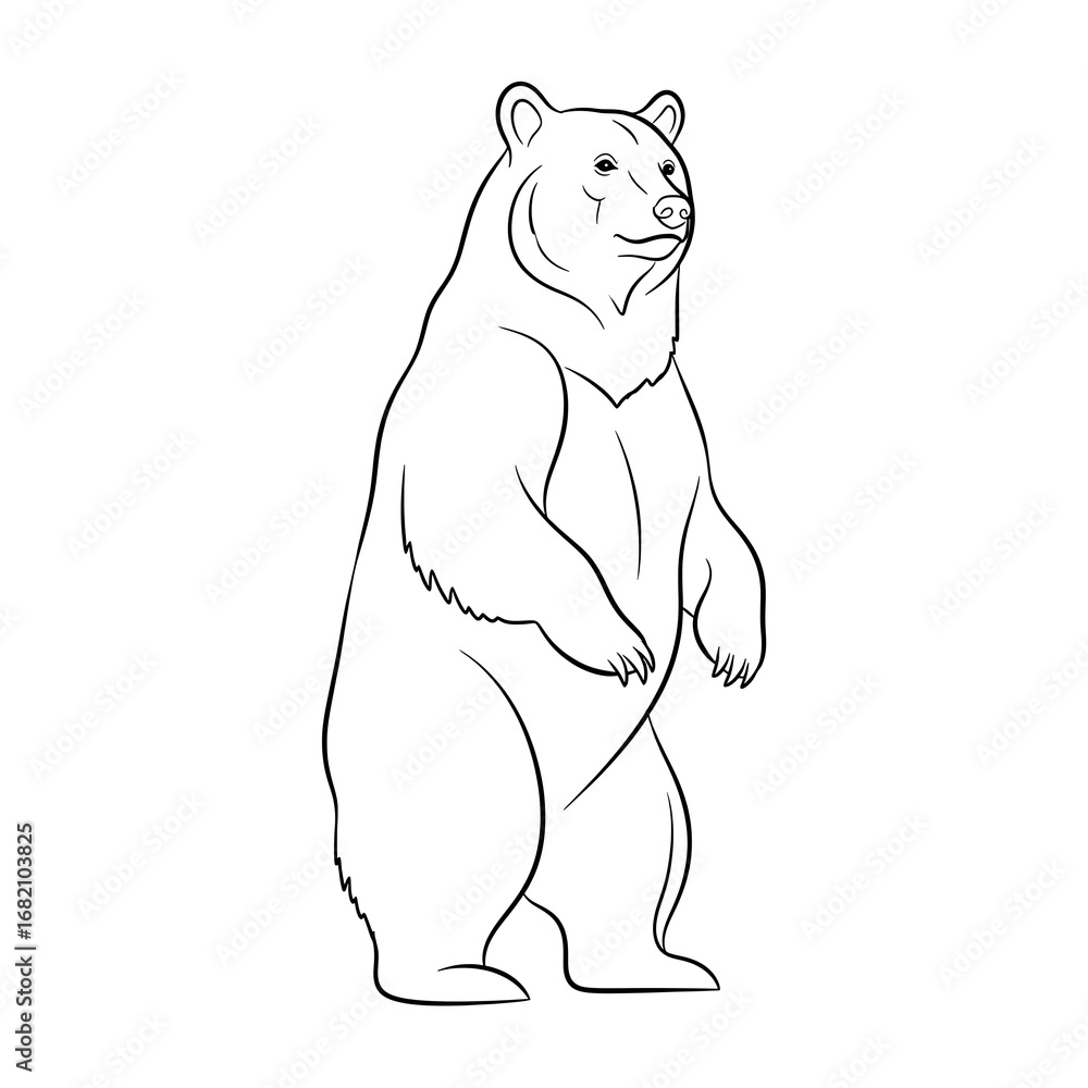 Obraz premium Line Drawing of a Standing Bear for Coloring or Illustration