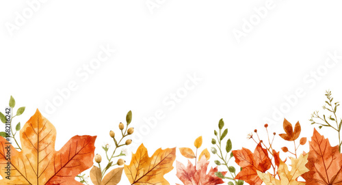 Autumn Watercolor Leaves Border Fall Foliage Design Element