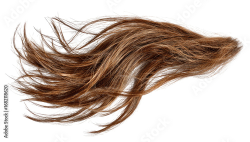 A strand of light brown hair, flowing freely