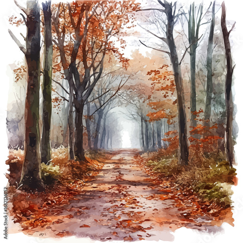 Fall Forest Misty Morning, watercolor illustration vector, isolated on a white background.