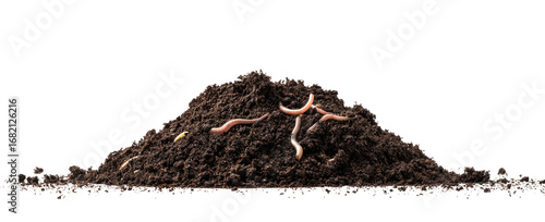 Pile of dark brown soil with several red-pink worms