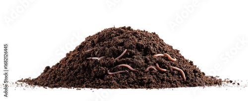 A mound of dark brown soil with numerous red-brown worms