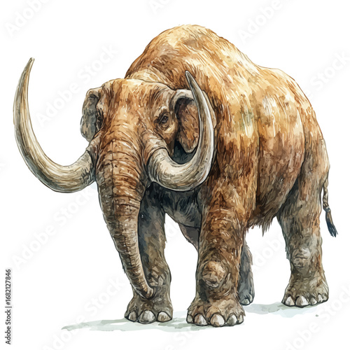 Elasmotherium, watercolor clipart vector, isolated on a white background.