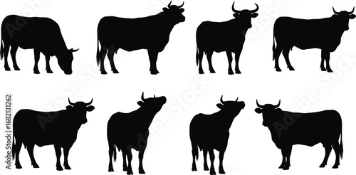 Silhouetted bulls in various poses, horn and posture diversity, black and white vector illustration for livestock design and anatomy reference