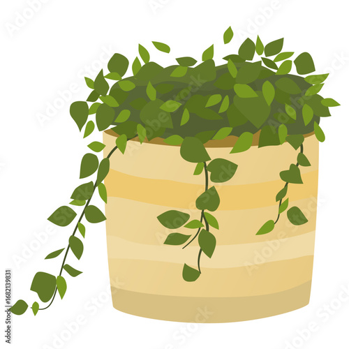 Vector illustration of a hanging planter with cascading green vines, decorative flat style, ideal for eco themes, botany, and home decoration design.