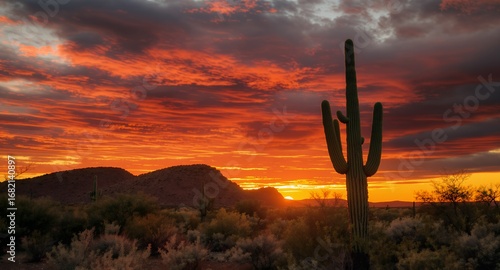 Wallpaper Mural Dramatic Desert Sunset with Saguaro Cactus Silhouette Torontodigital.ca