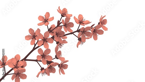 Soft Coral Peach Blossom Branch: Elegant Spring Floral Design, Isolated on White Background