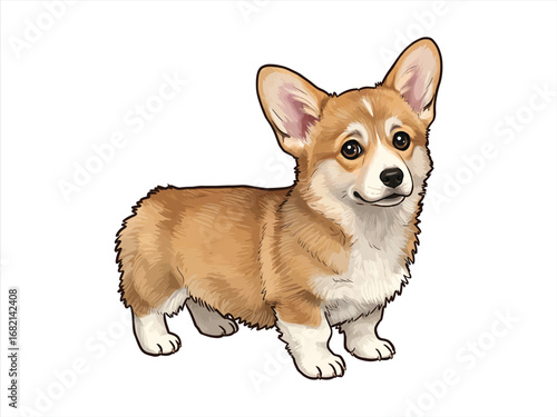 Adorable realistic dog breed Corgi illustration