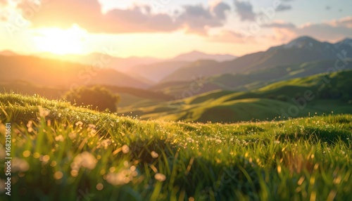 Golden sunlight bathes rolling green hills and distant mountains. A field of grass and small white flowers foregrounds the peaceful pastoral scene