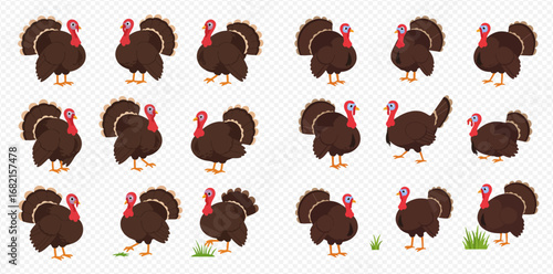 Cartoon turkeys in various poses,  perfect for animation or design.