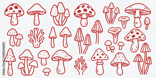 Mushroom Vector Set – Cute Forest Fungi Doodle Collection In Outline Style