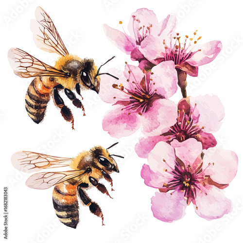 Bees Flying Spring Blossoms, watercolor drawing vector, isolated on a white background.