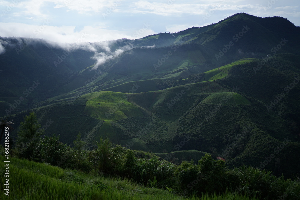 Fototapeta premium panorama of the mountains