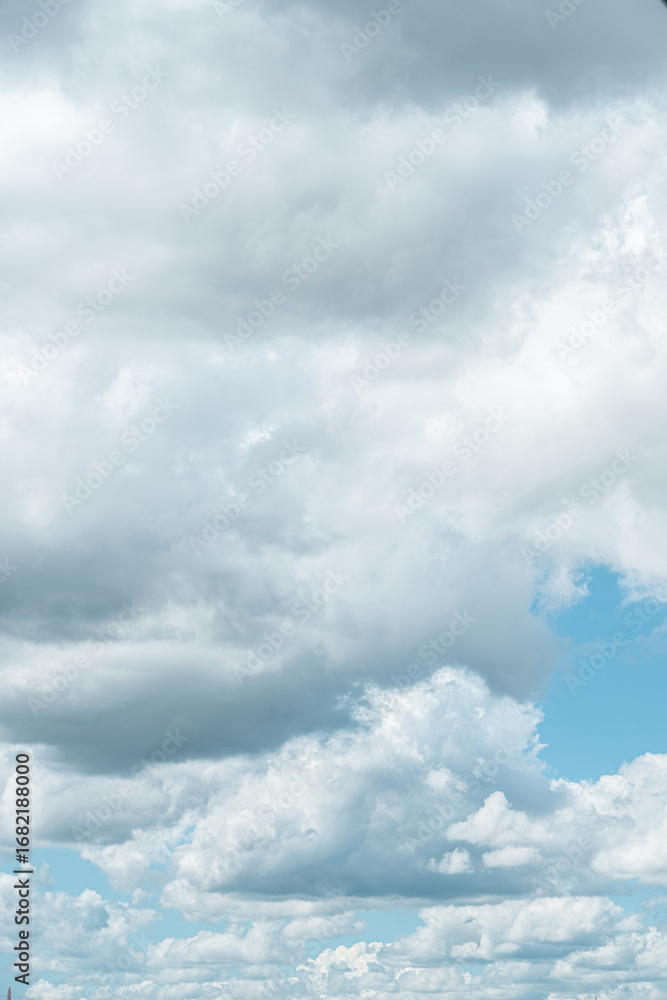 Fototapeta premium ナツゾラ