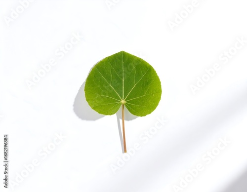 Wallpaper Mural Heart-shaped leaf, bright green Torontodigital.ca