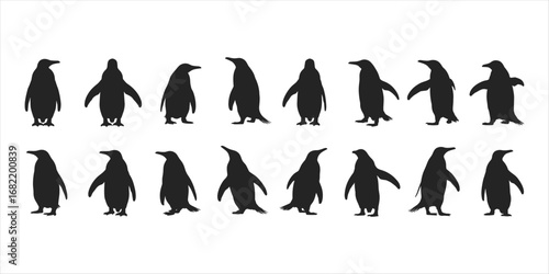 Collection of Penguin Silhouettes in Various Poses on White Background penguins animal