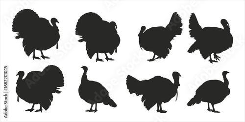 Eight Black Silhouettes of Turkeys in Various Poses and Displays bird poultry
