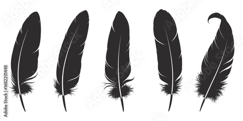 Five Black Silhouettes of Feathers with Detailed Barbs and Quills bird