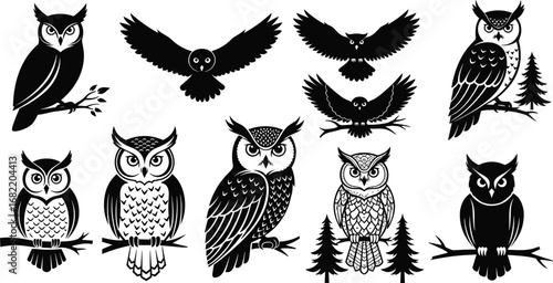 Collection of owl illustrations and silhouettes, detailed bird designs, wildlife vector art, artistic owl patterns, nature animal graphics, creative bird drawings