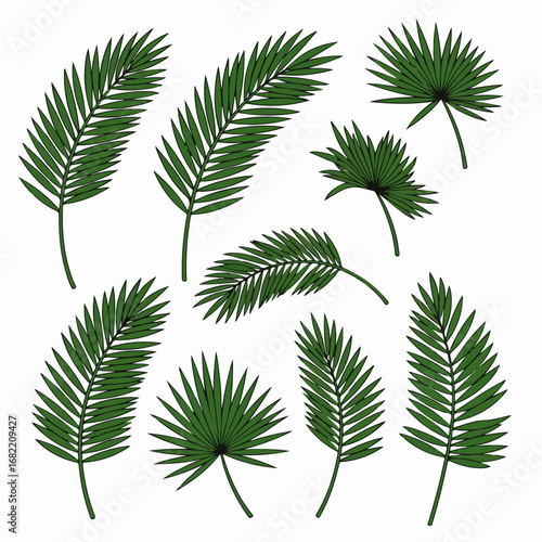 Set of Various Hand-Drawn Tropical Green Palm Leaves Isolated on White Background, Perfect for Summer and Botanical Design Elements.