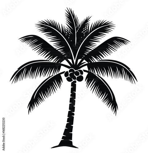 Black Stencil Coconut Tree Vector on White Background for Interior Wallpaper Design
