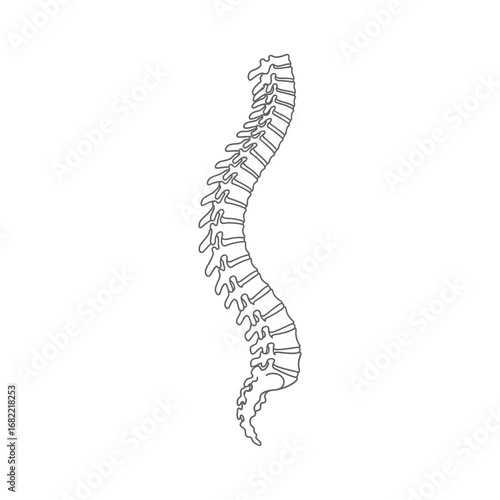 A black and white line drawing of a human spine with vertebrae and spinal cord on a white background