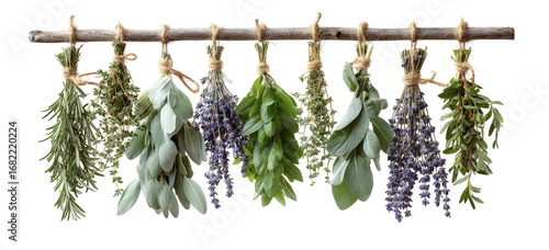 Dried herbs hanging from a wooden rod