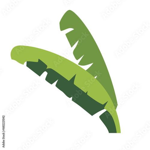 2d illustration tropical banana leaf with jagged edges isolated on white background, perfect for jungle style, exotic botany, garden, eco, and environment.
