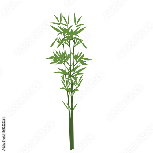 "Flat 2d illustration of green bamboo stalks with tall fresh leaves, symbolizing resilience and eco friendly nature, perfect for Asian inspired designs."