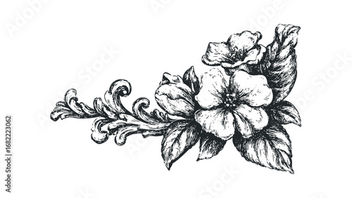 Detailed ink sketch of blooming flowers and swirling leaves. Vector hand drawn illustration