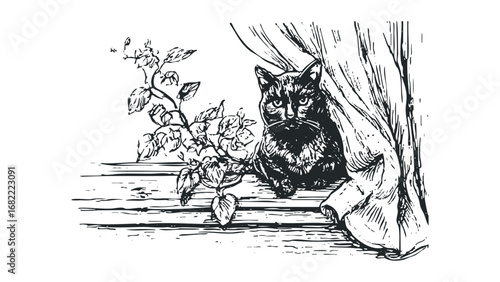 Black cat peering from behind a draped curtain near a leafy plant. Vector hand drawn illustration