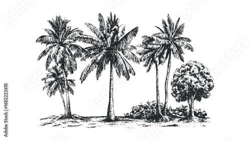 Sketch of various palm trees and foliage on sandy ground. Vector hand drawn illustration