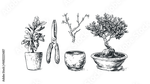 Hand drawn sketch of bonsai tree, potted plant, and pruning shears on white. Vector hand drawn illustration