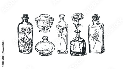 Set of Vintage Glass Bottles with Botanical Illustrations on Transparent Background. Vector hand drawn illustration