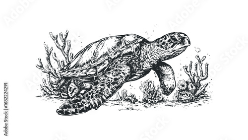 Sea turtle swims among coral reef detail drawing. Vector hand drawn illustration