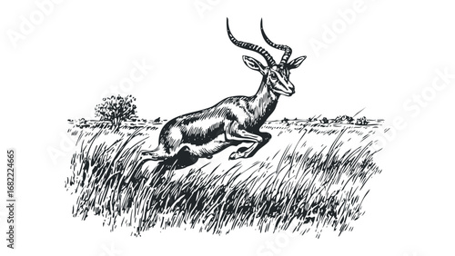 Sketch of an antelope leaping through tall grass with a distant tree. Vector hand drawn illustration