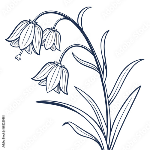 crown imperial fritillaria imperialis with leaves