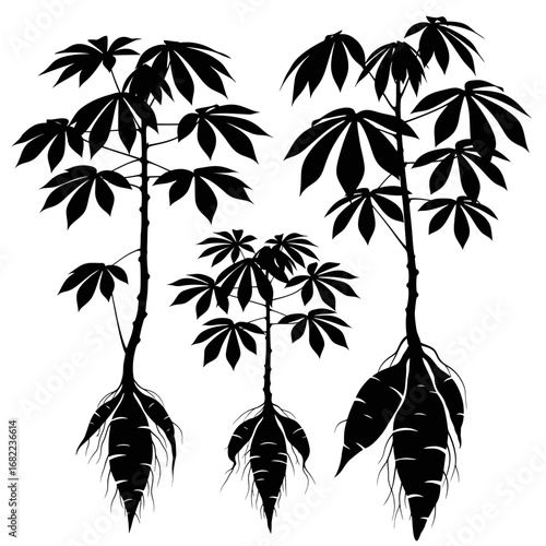 Set of three black silhouette cassava plants with roots.