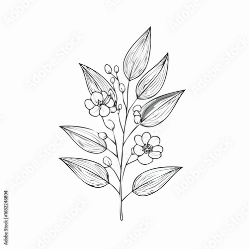 Elegant botanical illustration of delicate flowers and leaves, perfect for design projects